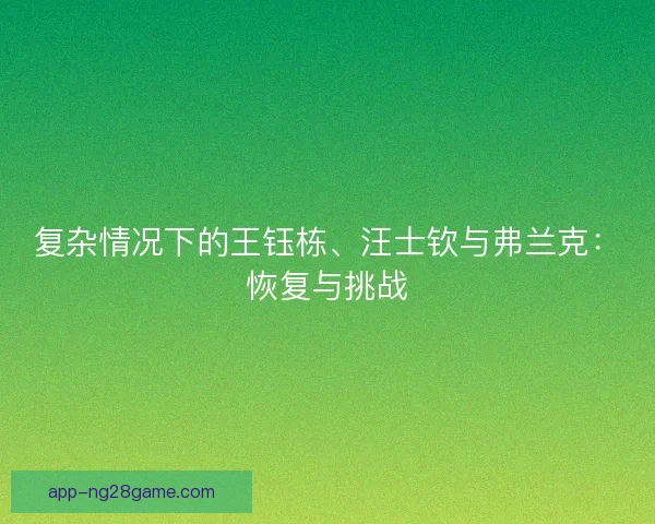 复杂情况下的王钰栋、汪士钦与弗兰克：恢复与挑战