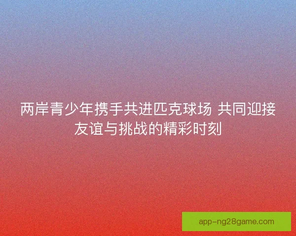 两岸青少年携手共进匹克球场 共同迎接友谊与挑战的精彩时刻