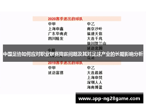 中国足协如何应对职业联赛降薪问题及其对足球产业的长期影响分析