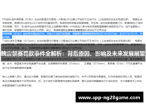 魏震禁赛罚款事件全解析：背后原因、影响及未来发展展望