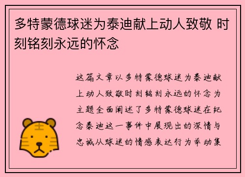 多特蒙德球迷为泰迪献上动人致敬 时刻铭刻永远的怀念