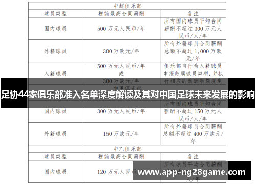 足协44家俱乐部准入名单深度解读及其对中国足球未来发展的影响