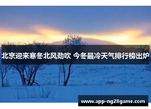 北京迎来寒冬北风劲吹 今冬最冷天气排行榜出炉