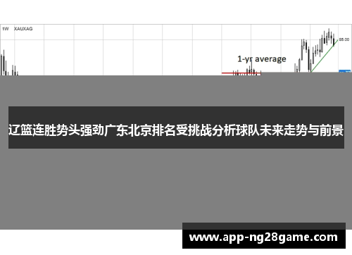 辽篮连胜势头强劲广东北京排名受挑战分析球队未来走势与前景